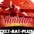 cricket bat Game Gold v2.0.5
