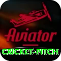 cricket pitch Live Prime v2.1.3