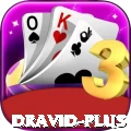 dravid Casino Official v2.3.6