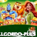 elgordo Live Casino Prime