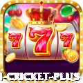 fastest ball in cricket - VIP Prime