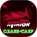 grass carp Pro Slots