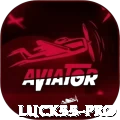 luck55 Jackpot Prime v5.6.4