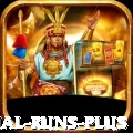 most international runs - Plus Edition v5.4.6