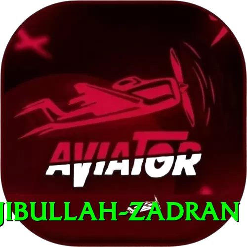 najibullah zadran Money Max v5.8.6 - 2