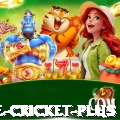 one cricket King Casino App