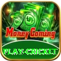 play cricket APK Prime v5.3.4