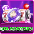 rudi koertzen Live Turbo v2.2.8