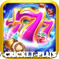 willow cricket Pakistan Supreme v5.3.7