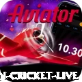 women cricket live Gaming Champion v1.1.8